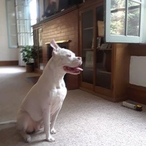 Meet your Posher, Robert